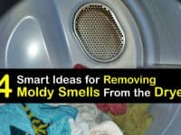 Dryer Smells Moldy titleimg1