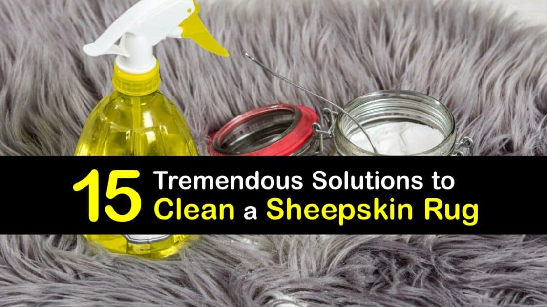 Clean a Sheepskin Rug Incredible Tips for Cleaning a Sherpa Rug