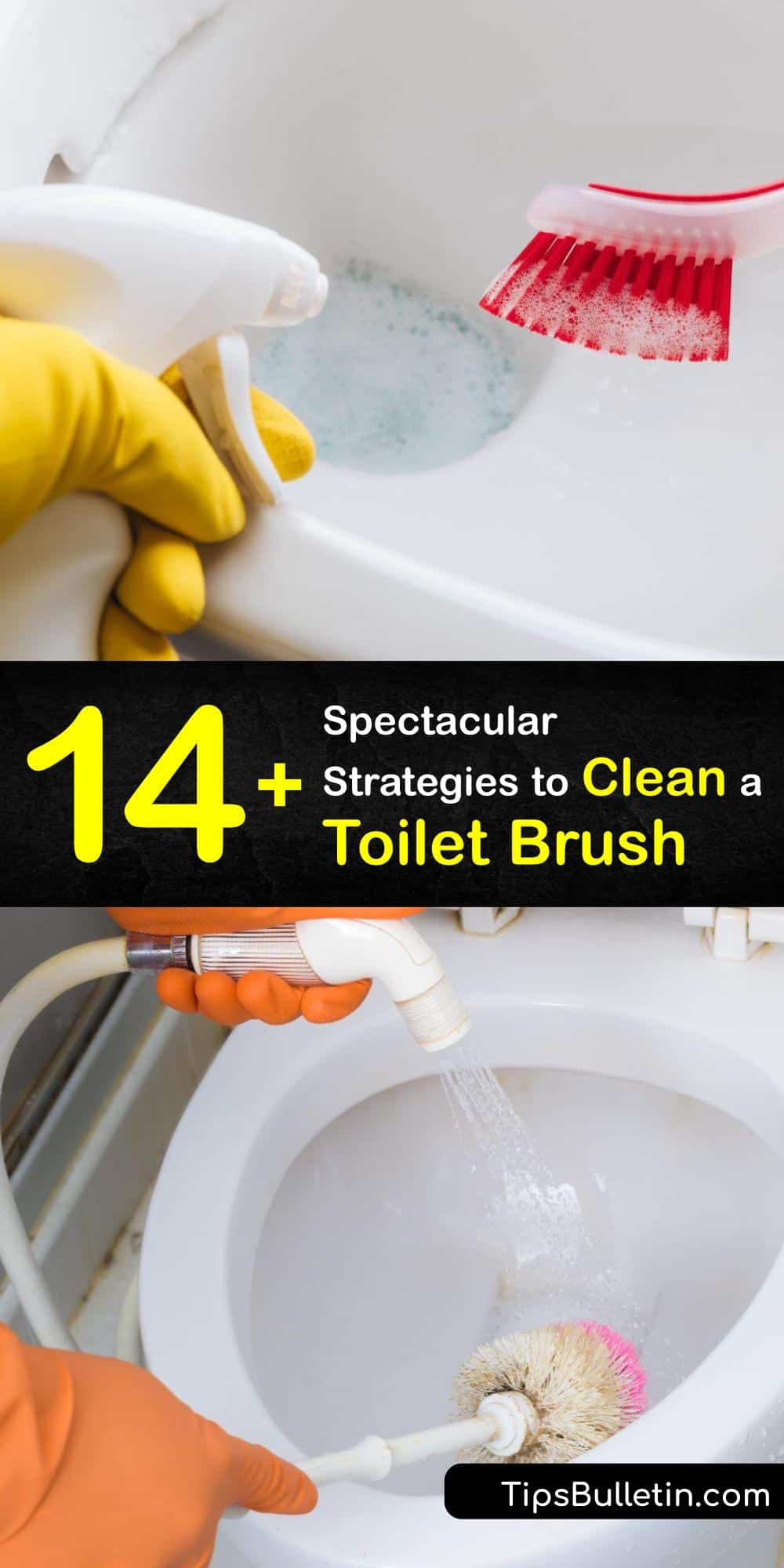 Dirty Toilet Brushes - Remarkable Solutions to Clean a Toilet Brush
