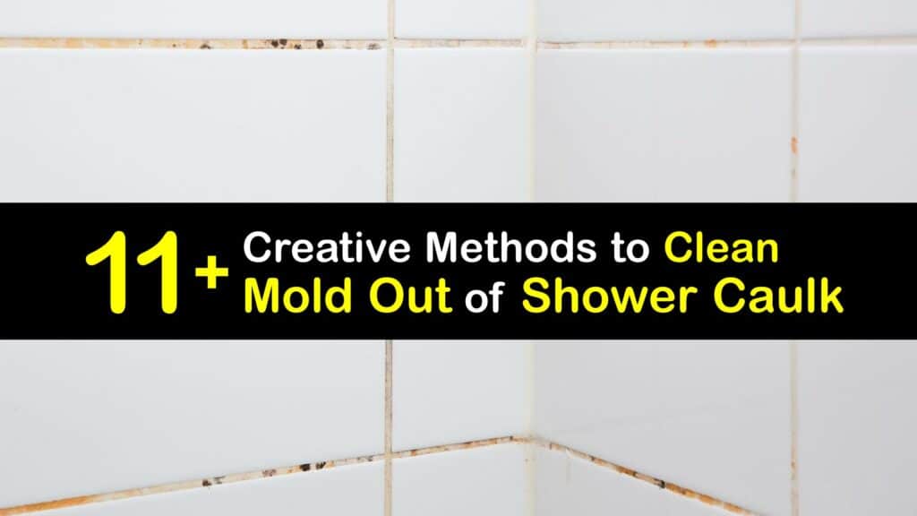 How to Clean Mold Out of Shower Caulk titleimg1