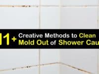 How to Clean Mold Out of Shower Caulk titleimg1