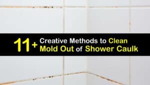 How to Clean Mold Out of Shower Caulk titleimg1
