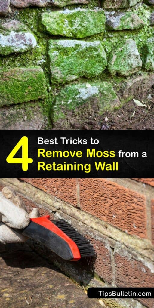 Moss growth on patio pavers ruins the look of your brick patio. Perform moss removal with your pressure washer, or clean mold, moss and algae with a bleach solution or a commercial cleaner like Simple Green Outdoor Cleaner. #clean #moss #retaining #walls
