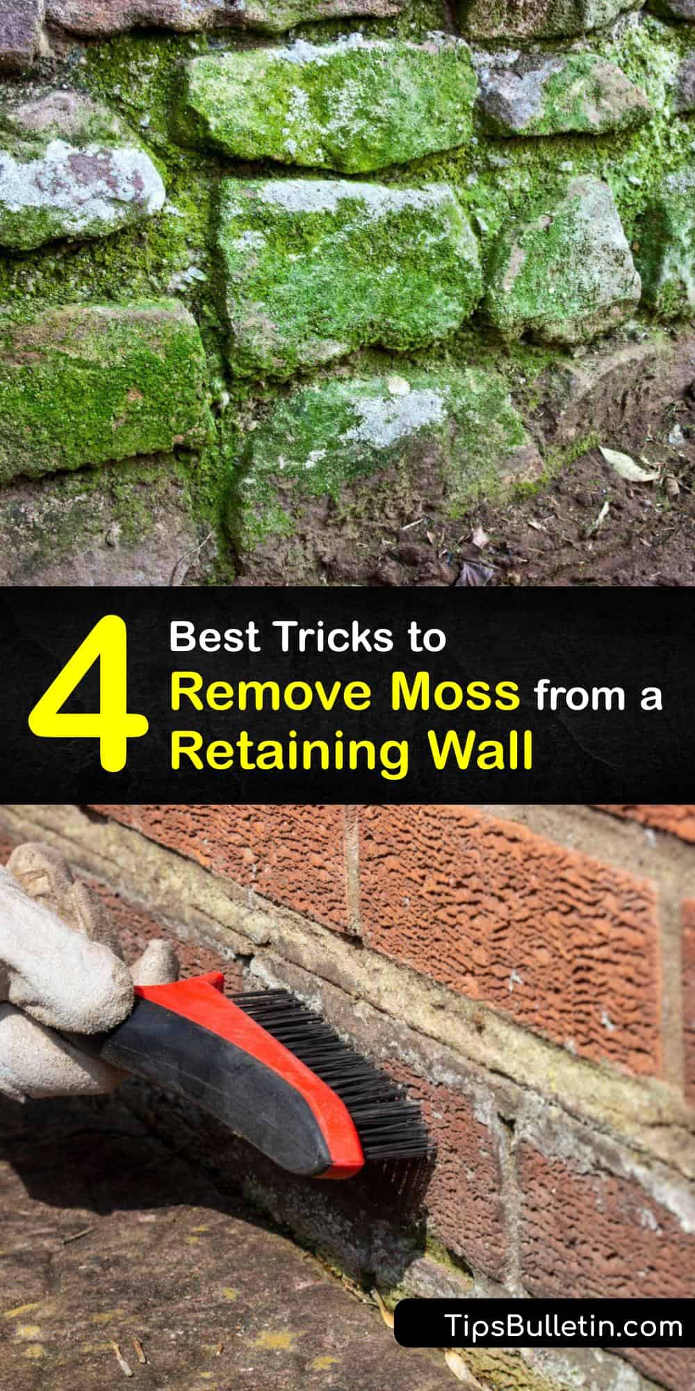 Moss Cleaning Tips for Removing Moss from a Retaining Wall