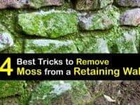 How to Clean Moss off Retaining Walls titleimg1