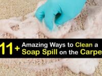 How to Clean up a Soap Spill on the Carpet titleimg1