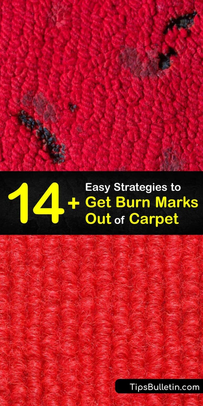 Burn Mark Removal Easy Ways to Fix Burnt Spots on Carpets