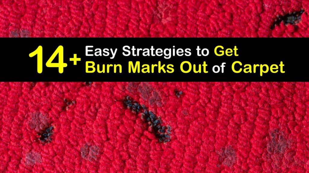 How to Get a Burn Mark Out of Carpet titleimg1