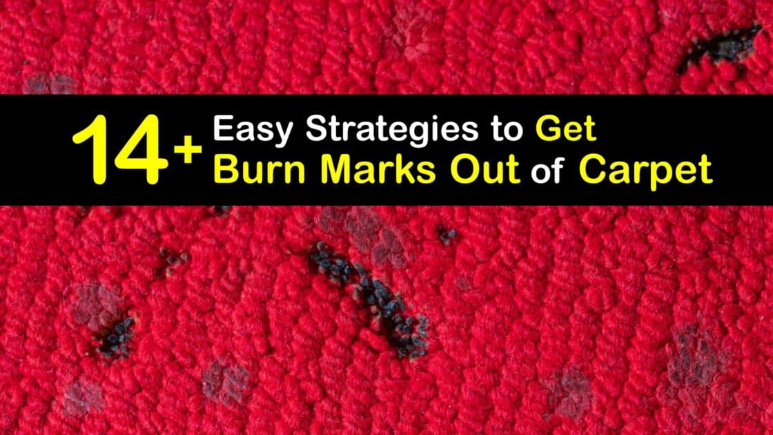 Burn Mark Removal Easy Ways to Fix Burnt Spots on Carpets