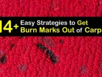 How to Get a Burn Mark Out of Carpet titleimg1