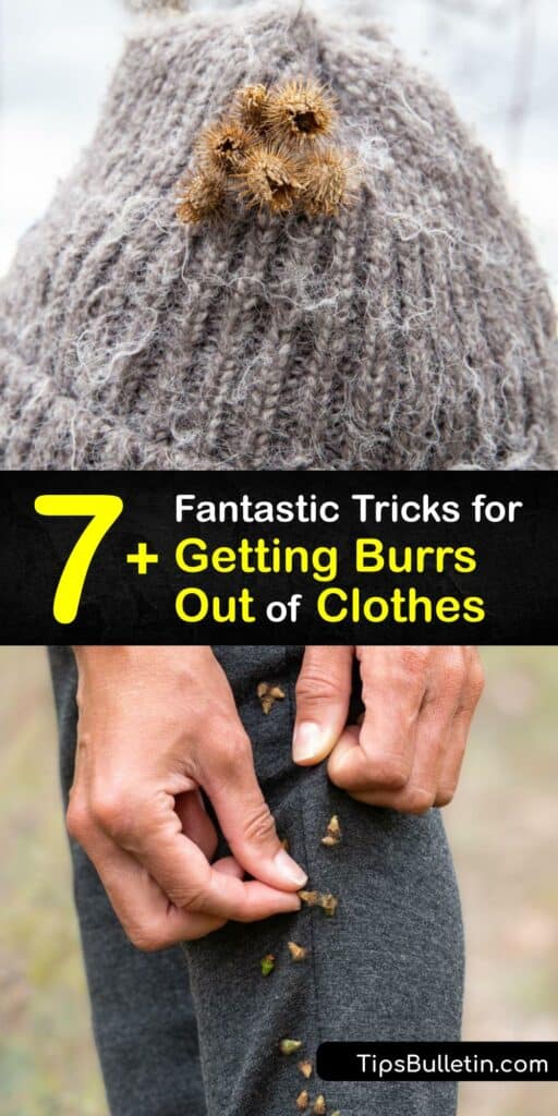 The sticker burr inspired George de Mestral to make velcro, as they stick to clothes and fabric so well. Remove prickly seed burrs from clothing easily using duct tape, a lice comb, tweezers, and more. #get #burrs #out #clothing