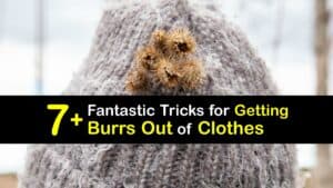 How to Get Burrs Out of Clothing titleimg1