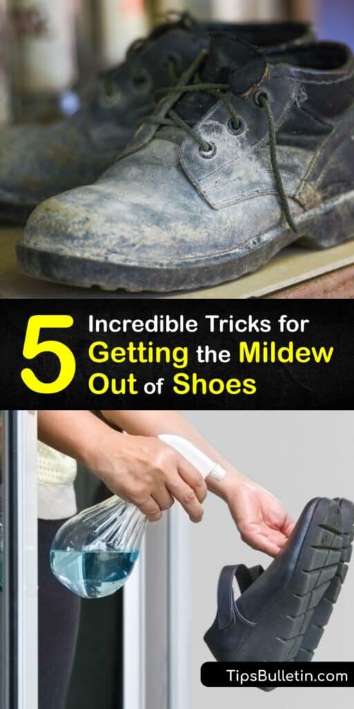 If smelly shoes give you the blues, you need tips for effective odor control. The musty smell comes from mold and mildew, which is tough to eliminate without guidance. Our tips and tricks mean no more mold spores or stinky shoes. #remove #mildew #shoes #smell