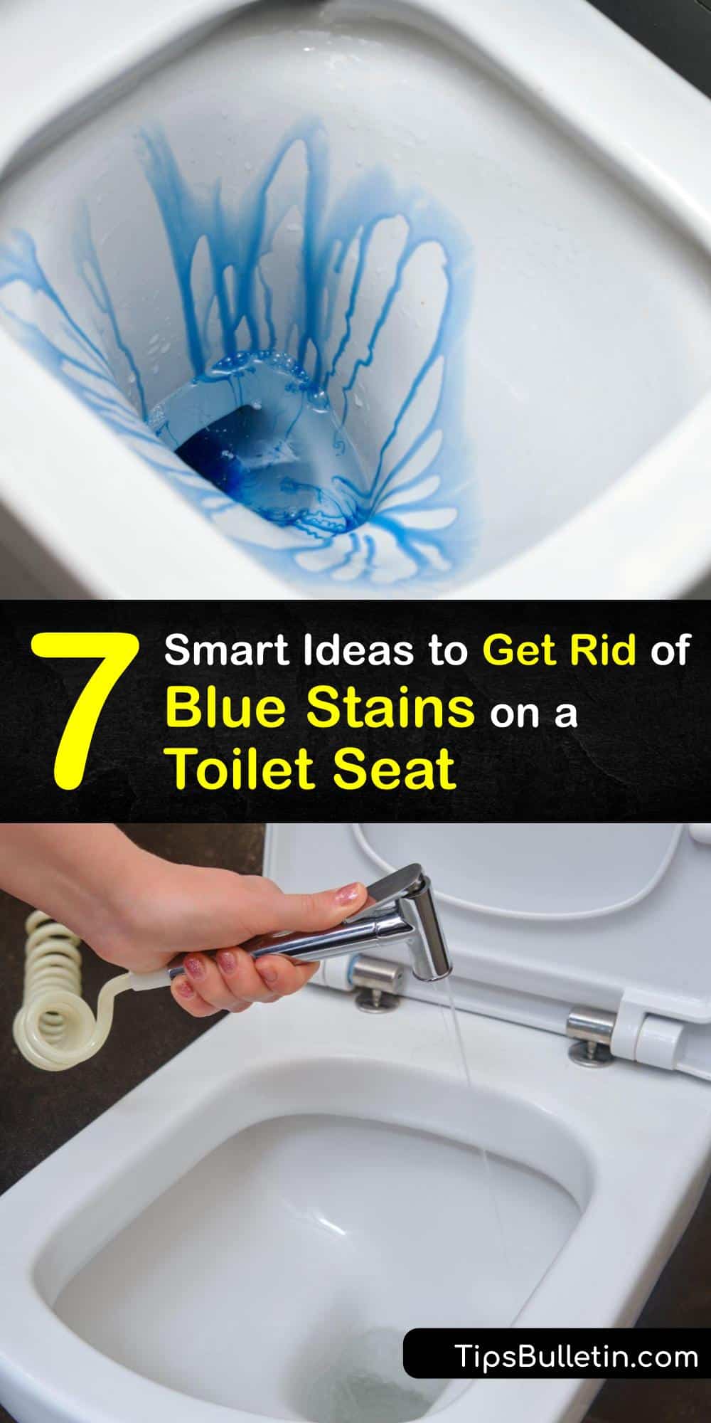 Toilet Stains Easy Tricks to Clean Blue Stains on a Toilet Seat