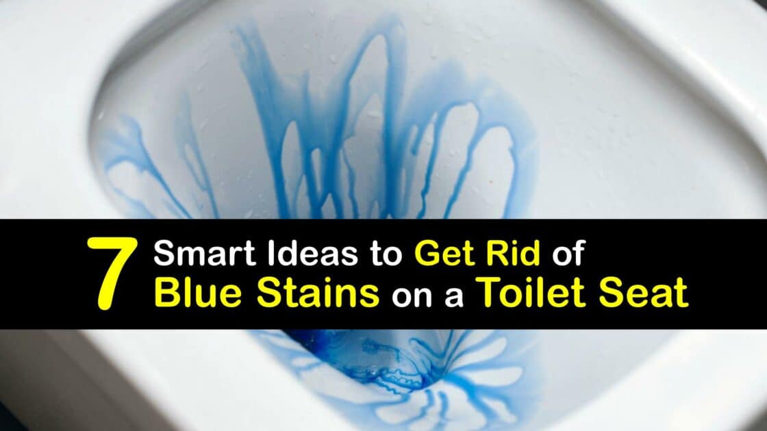 Toilet Stains Easy Tricks to Clean Blue Stains on a Toilet Seat