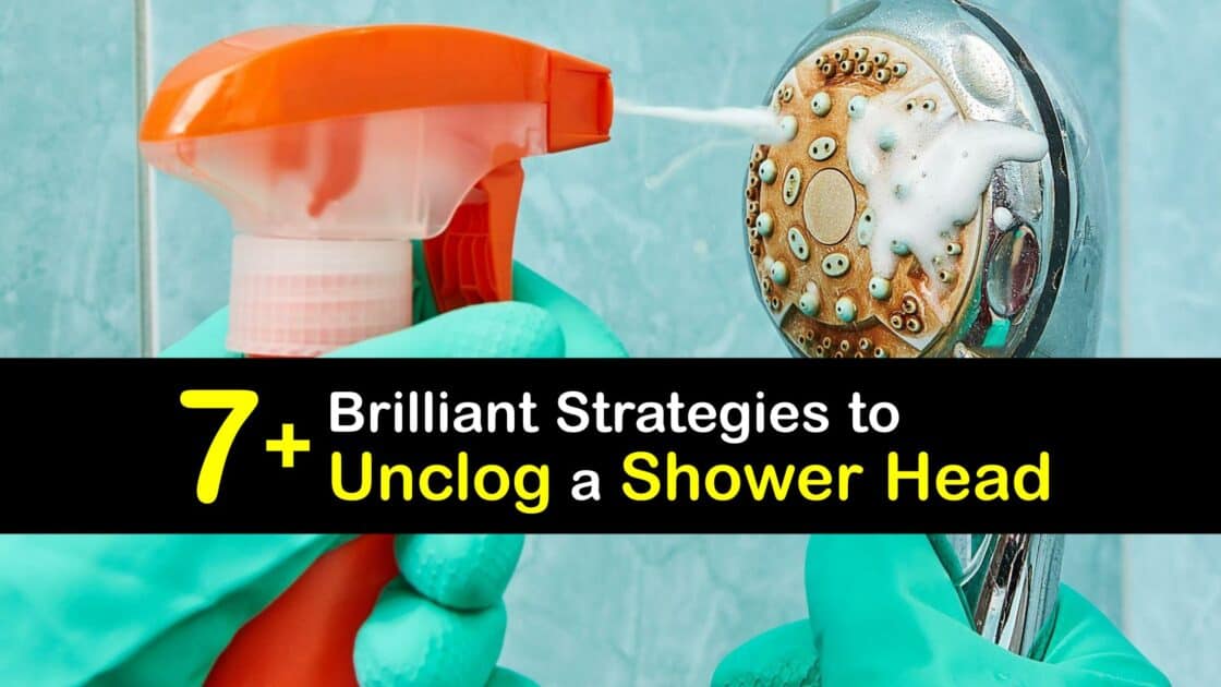 Shower Head Care Solutions to Clear a Clogged Shower Nozzle
