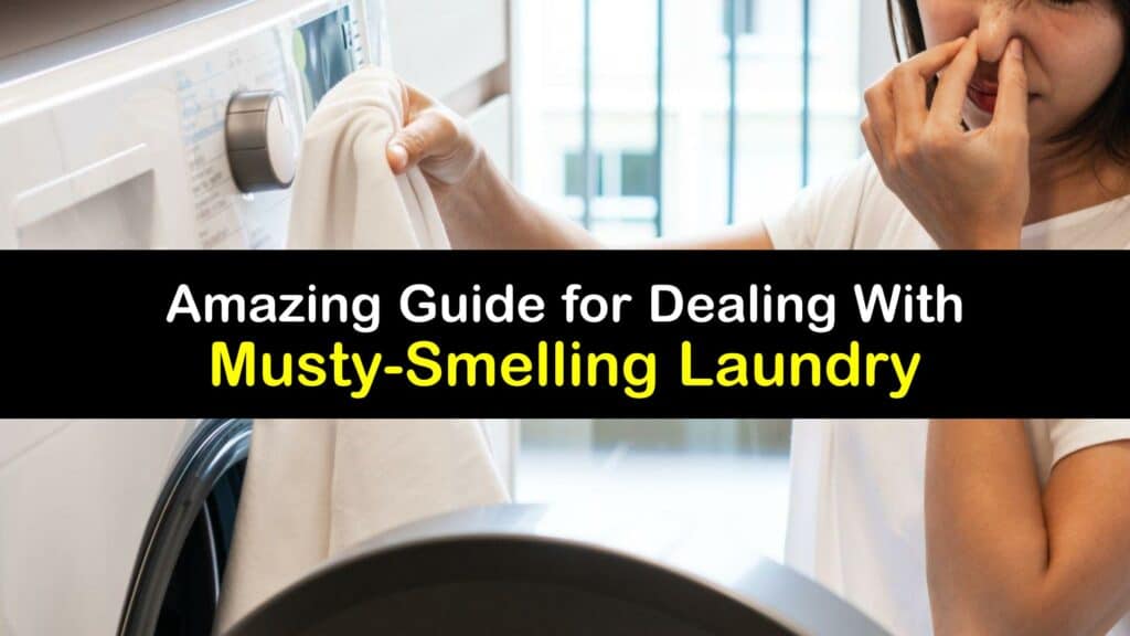 Laundry Smells Musty titleimg1