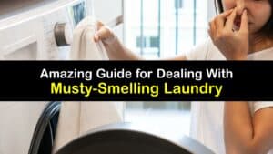 Laundry Smells Musty titleimg1