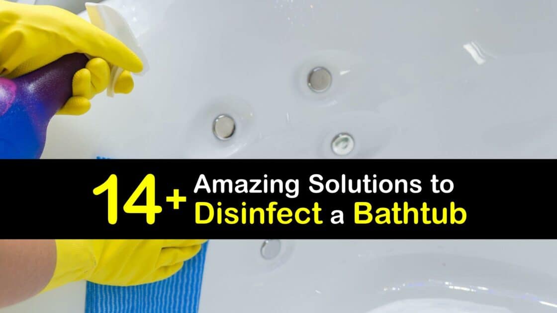 Disinfecting a Tub Best Strategies to Sanitize a Bathtub