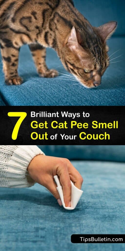 When your pet has an accident outside the litter box, cat urine odor is tough to remove from your couch. Oust dog urine or cat urine smell with baking soda, enzyme cleaner, white vinegar, and more easy DIY methods. #get #cat #pee #out #couch