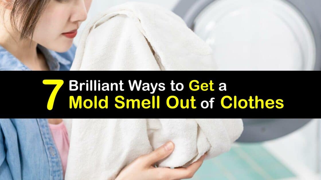 Moldy Clothes Smell Tricks for Getting Mold Odors Out of Clothing