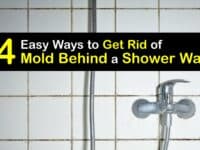 How to Get Rid of Mold Behind Shower Walls titleimg1