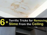 How to Get Slime off the Ceiling titleimg1