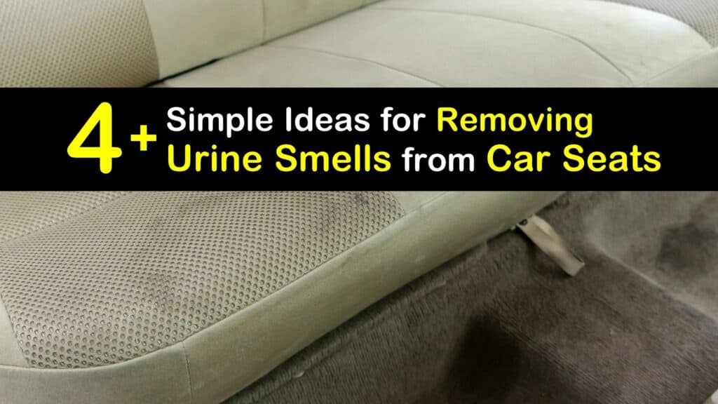 How to Get Urine Smell Out of a Car Seat titleimg1