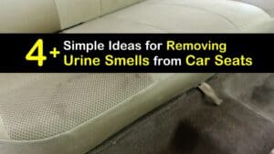 How to Get Urine Smell Out of a Car Seat titleimg1
