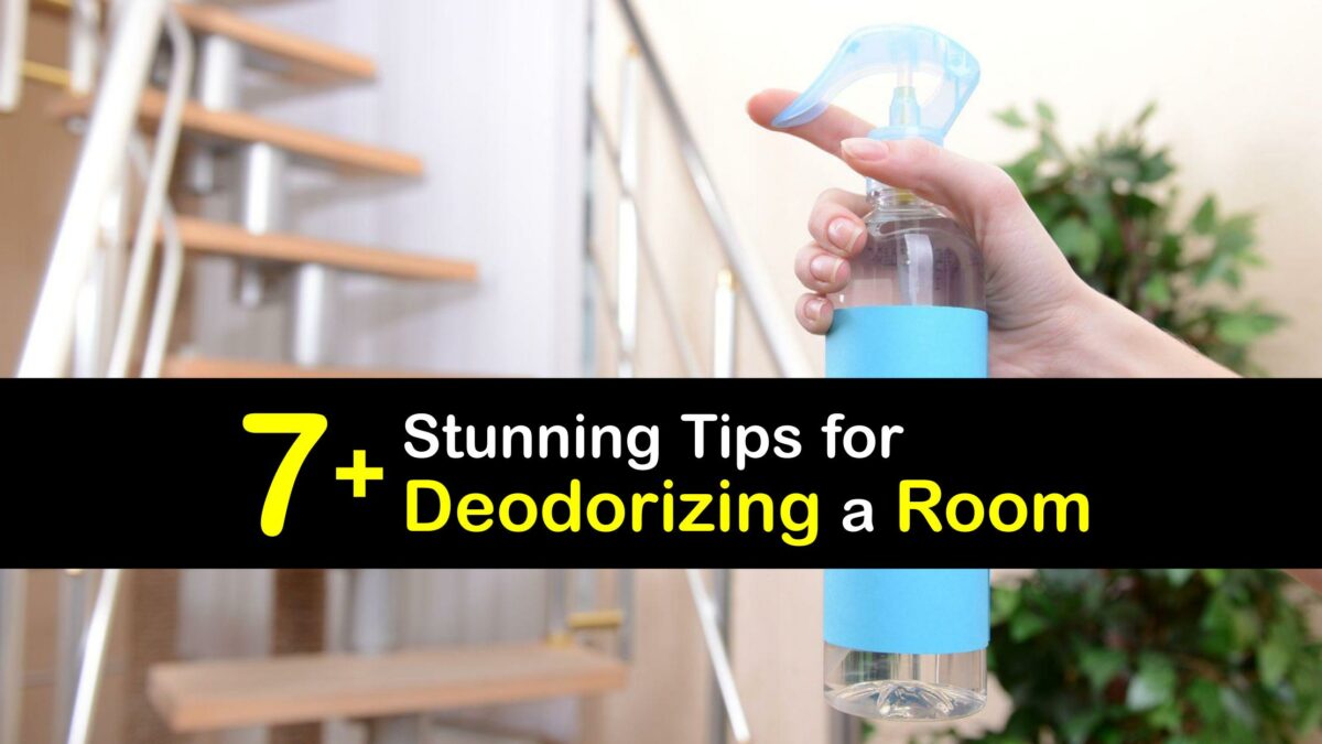 Remove Room Odors Awesome Tips for FreshSmelling Rooms