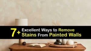 How to Remove Stains From Painted Walls titleimg1