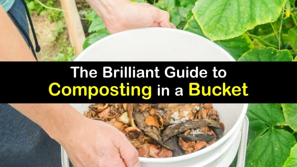 How to Start a Compost Bucket titleimg1