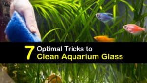 How to Clean Aquarium Glass titleimg1