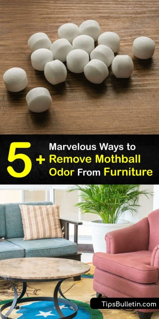 Remove the mothball smell and musty odor from your furniture. Although moth ball pest treatment is useful, lingering moth ball smell is unpleasant. Oust unwanted odor with white vinegar, activated charcoal, baking soda, and other DIY remedies. #remove #mothball #odor #furniture