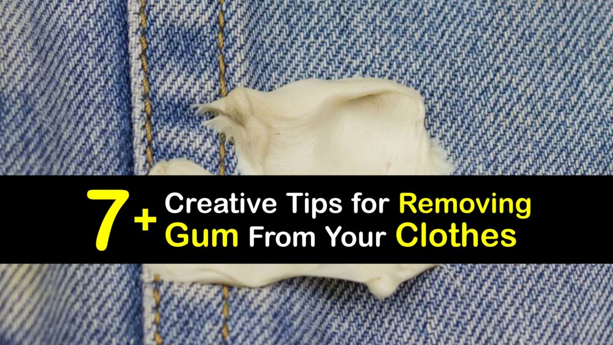Gum Stain Care Awesome Tips for Getting Gum Out of Clothes
