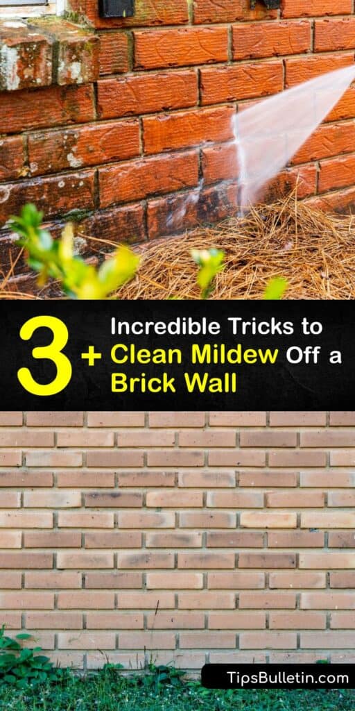 It pays to know how to clean mold growth off interior or exterior brick pavers. Make mold removal simple and kill mold spores with clever remedies for cleaning mold off brick. Clean brick surfaces with bleach, white vinegar, or your pressure washer to erase mold for good. #remove #mold #brick #wall