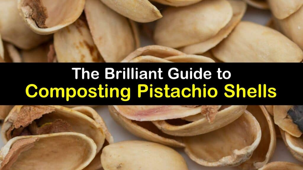 Can You Compost Pistachio Shells titleimg1