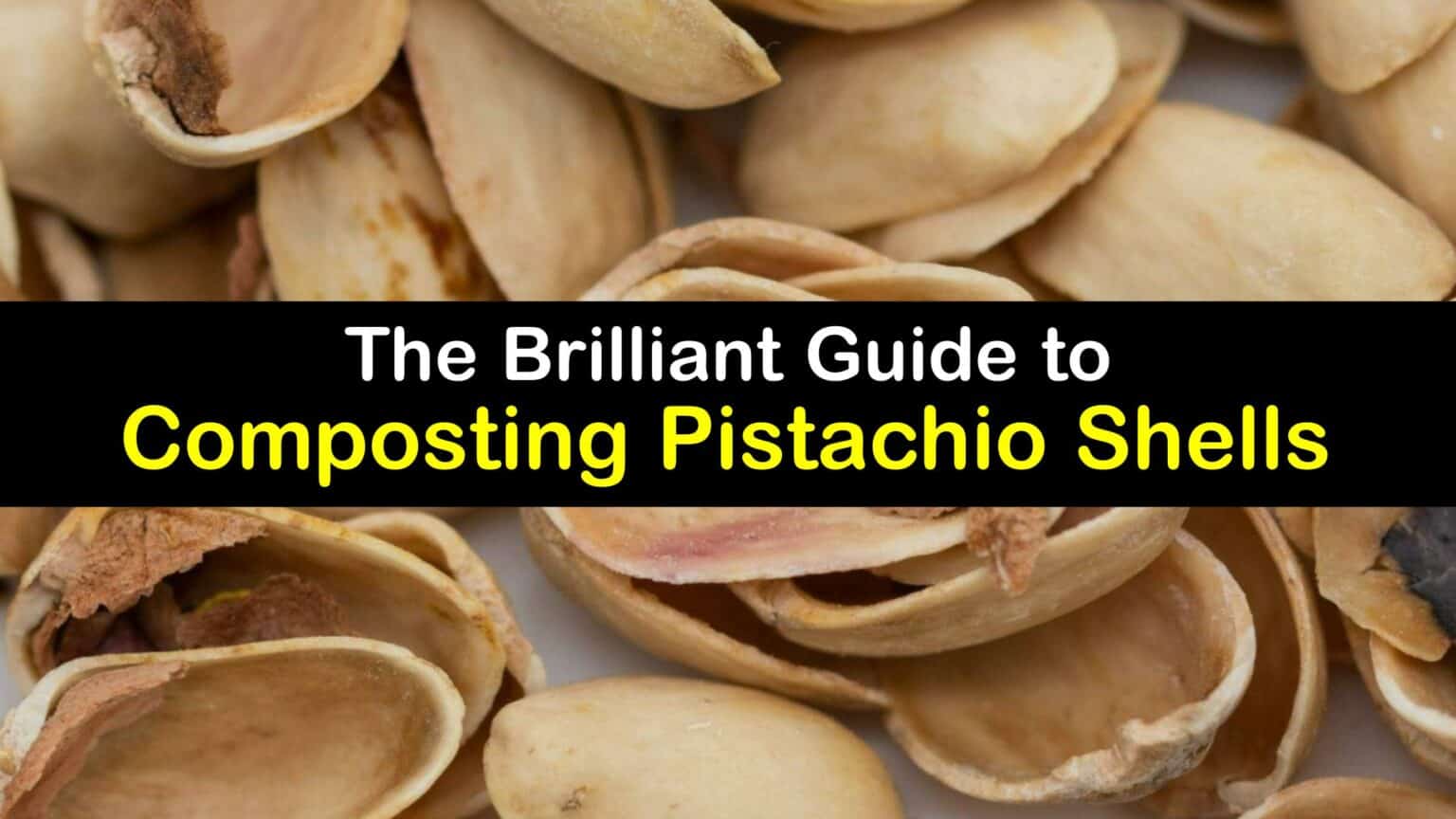 Inspiring Are Pistachio Shells Compostable Images