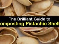 Can You Compost Pistachio Shells titleimg1