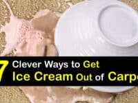 How to Get Ice Cream Out of Carpet titleimg1