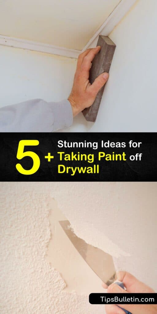 Paint removal, especially wallpaper removal, is a chore if you don’t have tips to guide you. Learn the ins and outs of removing paint from household surfaces with easy-to-follow tutorials and inexpensive supplies. Say goodbye to peeling paint and hello to exciting new looks. #remove #paint #drywall