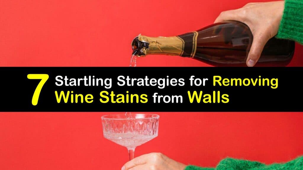How to Get Wine Stains Off Walls titleimg1