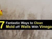 How to Remove Mold From Painted Walls With Vinegar titleimg1