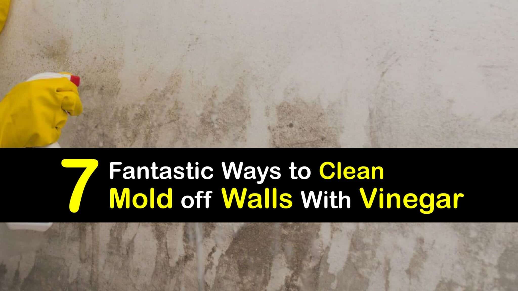 How To Remove Mould From Walls With Vinegar
